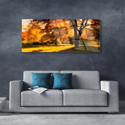 Quadro vetro Alberi Autunno Natura