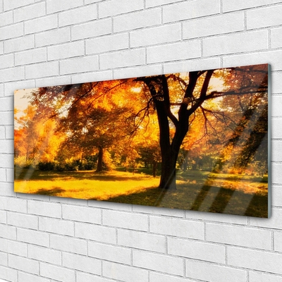 Quadro vetro Alberi Autunno Natura