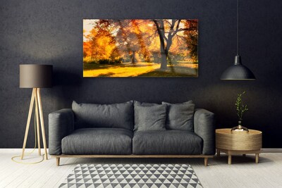 Quadro vetro Alberi Autunno Natura