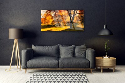 Quadro vetro Alberi Autunno Natura