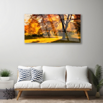 Quadro vetro Alberi Autunno Natura