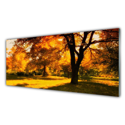 Quadro vetro Alberi Autunno Natura