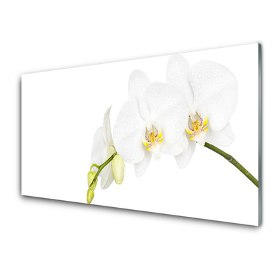 Quadro vetro Fiori Pianta naturale