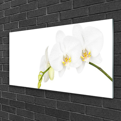 Quadro vetro Fiori Pianta naturale