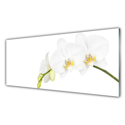 Quadro vetro Fiori Pianta naturale