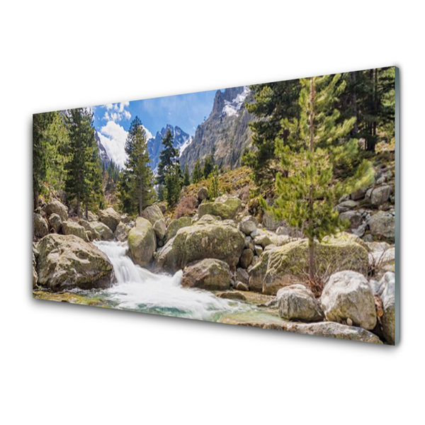 Quadro vetro Foresta di montagna Stones River