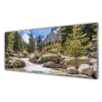 Quadro vetro Foresta di montagna Stones River