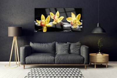 Quadro su vetro Pianta di orchidea da fiore