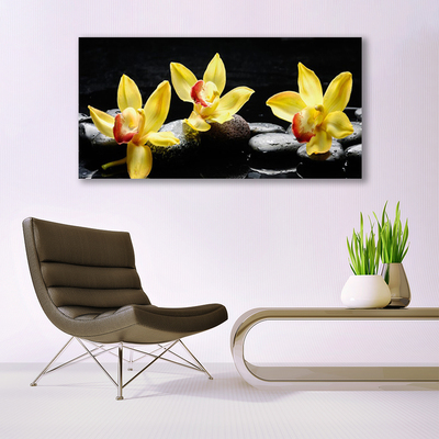 Quadro su vetro Pianta di orchidea da fiore