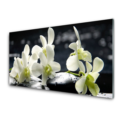 Quadro su vetro Pianta di orchidea da fiore