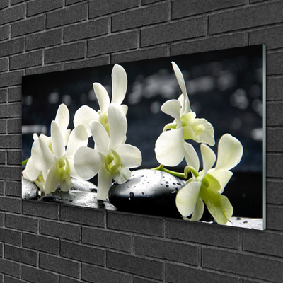 Quadro su vetro Pianta di orchidea da fiore