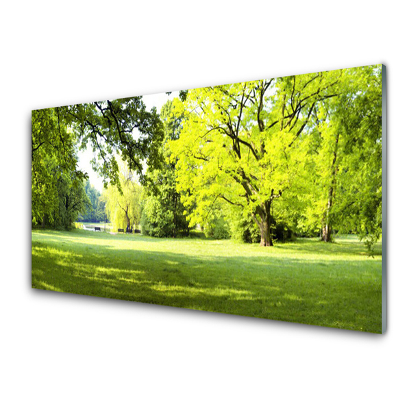 Quadro in vetro Erba Alberi Parco Natura