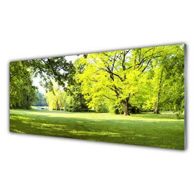 Quadro in vetro Erba Alberi Parco Natura