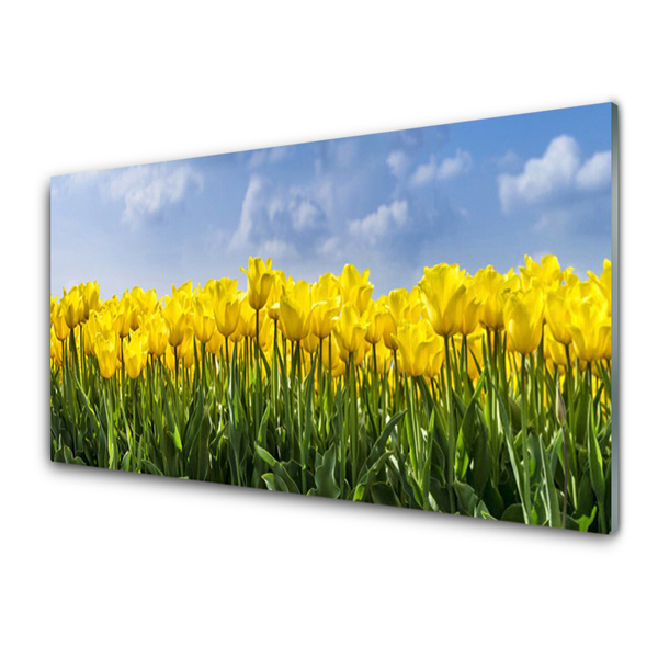 Quadro vetro Tulipani Fiori Pianta