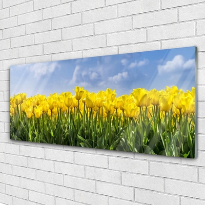 Quadro vetro Tulipani Fiori Pianta