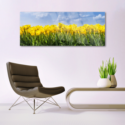 Quadro vetro Tulipani Fiori Pianta