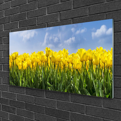 Quadro vetro Tulipani Fiori Pianta