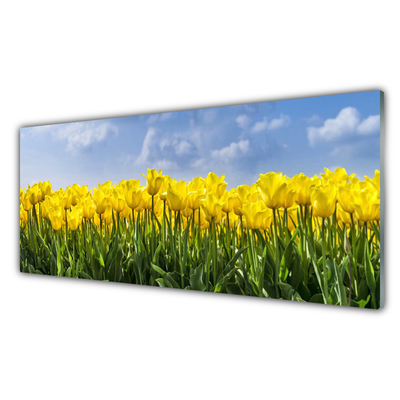 Quadro vetro Tulipani Fiori Pianta