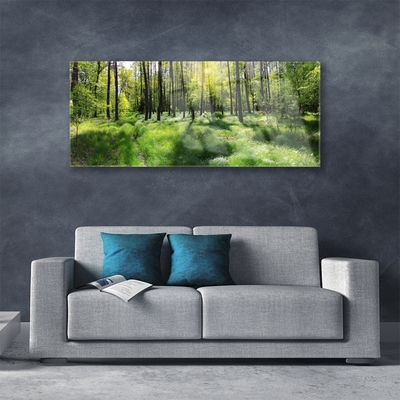 Quadro di vetro Foresta Erba Pianta Natura