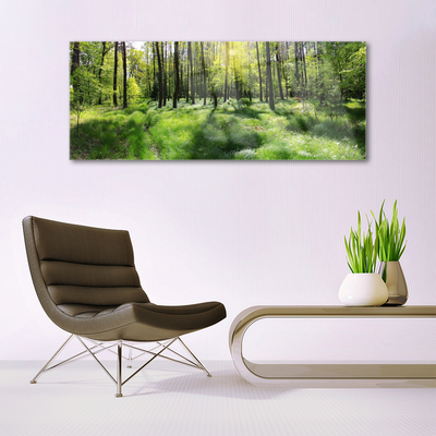 Quadro di vetro Foresta Erba Pianta Natura