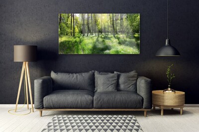 Quadro di vetro Foresta Erba Pianta Natura