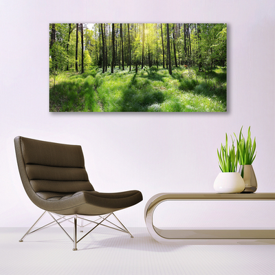 Quadro di vetro Foresta Erba Pianta Natura