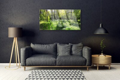 Quadro di vetro Foresta Erba Pianta Natura