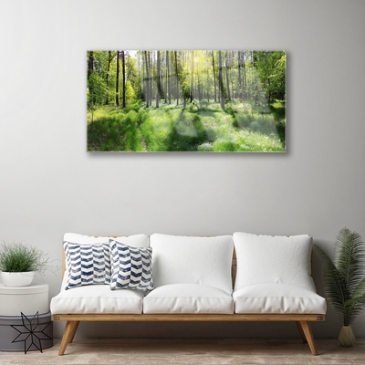 Quadro di vetro Foresta Erba Pianta Natura