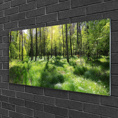 Quadro di vetro Foresta Erba Pianta Natura