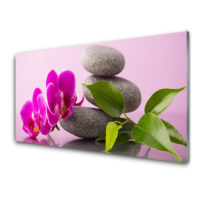 Quadro vetro Orchidea da fiore Pianta Zen