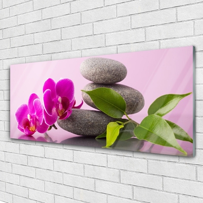 Quadro vetro Orchidea da fiore Pianta Zen