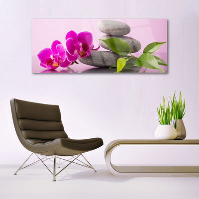 Quadro vetro Orchidea da fiore Pianta Zen