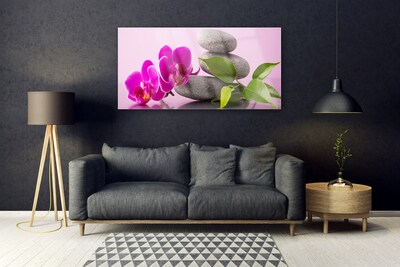 Quadro vetro Orchidea da fiore Pianta Zen