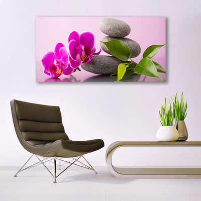 Quadro vetro Orchidea da fiore Pianta Zen