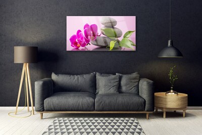 Quadro vetro Orchidea da fiore Pianta Zen