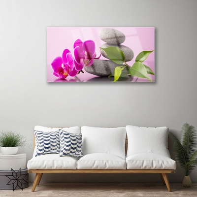 Quadro vetro Orchidea da fiore Pianta Zen