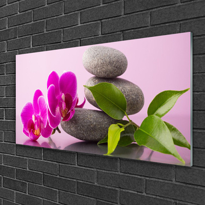 Quadro vetro Orchidea da fiore Pianta Zen