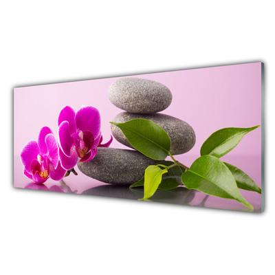 Quadro vetro Orchidea da fiore Pianta Zen