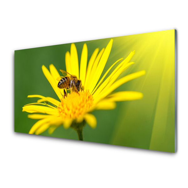 Quadro di vetro Ape Fiore Natura