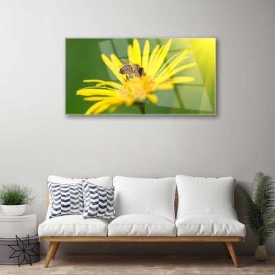 Quadro di vetro Ape Fiore Natura