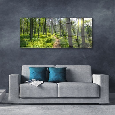 Quadro in vetro Sentiero forestale Natura