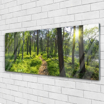 Quadro in vetro Sentiero forestale Natura