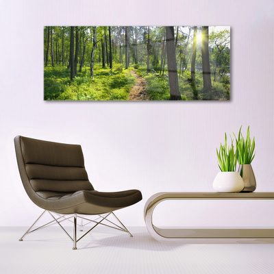 Quadro in vetro Sentiero forestale Natura