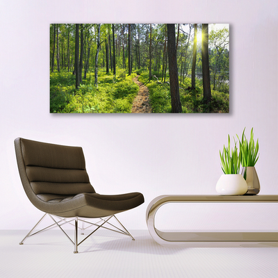 Quadro in vetro Sentiero forestale Natura