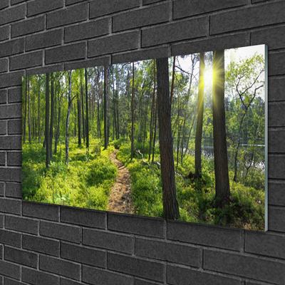 Quadro in vetro Sentiero forestale Natura