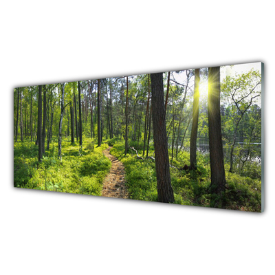 Quadro in vetro Sentiero forestale Natura