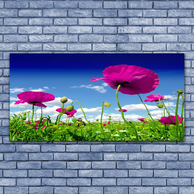 Quadro in vetro Prato Fiori Cielo Natura