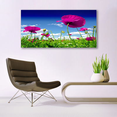 Quadro in vetro Prato Fiori Cielo Natura