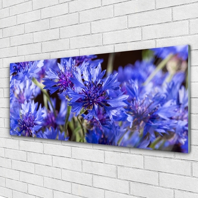 Quadro vetro Fiori Pianta naturale