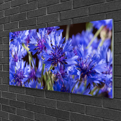 Quadro vetro Fiori Pianta naturale